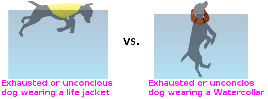 dog life jacket