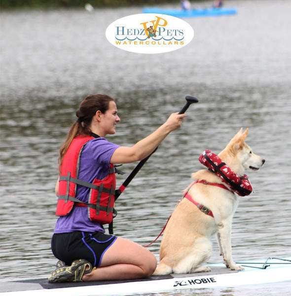 Dog Life Jacket