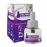 feliwayrefil.jpg