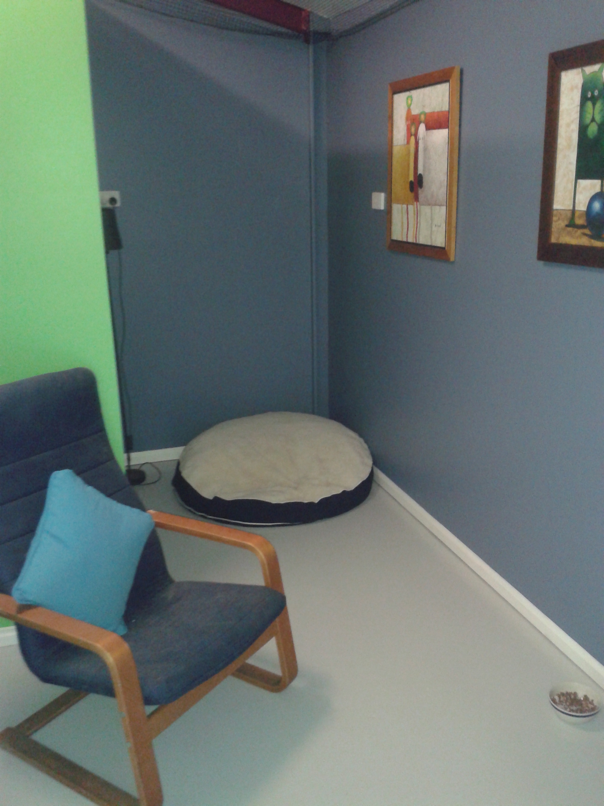 Gold Coast Cattery Room