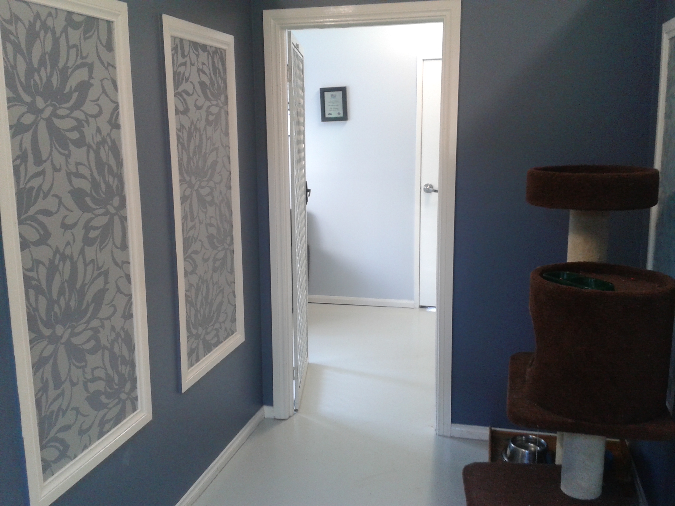 Multi room Cattery